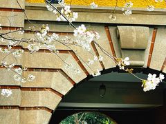 -上海瑞金洲际酒店