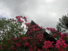 -越王山风景区