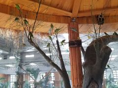 -南宫五洲植物乐园