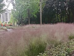 -苏州河梦清园环保主题公园