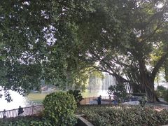 -荔湾湖公园
