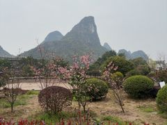 -荔江湾景区