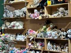 -安徽省地质博物馆