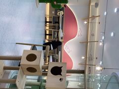 -喵园·猫主题咖啡厅·撸猫·猫咖(国贸店)