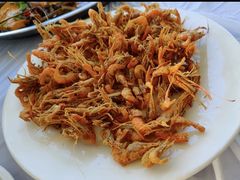 -庆岭迎宾园正宗活鱼馆