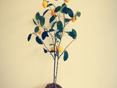 -兴旺欧韩城(上海兴旺国际服饰城店)