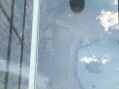 -磐安舞龙峡景区