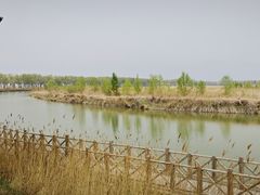 -野鸭湖国家湿地公园