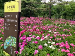 -丰台花园