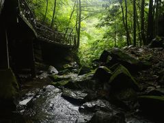 -藏龙百瀑风景区