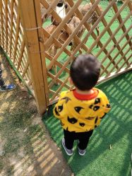 -萌宠亲子动物乐园(槐房万达店)