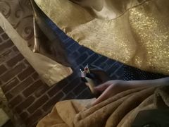 -莱蔻·圣灸堂·推拿艾灸(天山店)