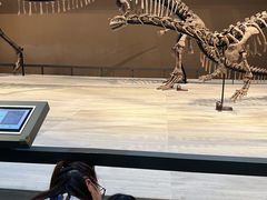 -向日葵艺术中心美术(虹桥南丰城校区)