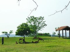 -良渚文化村