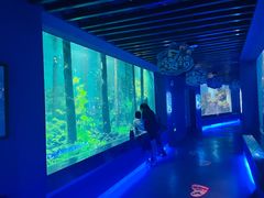 -石家庄海洋公园