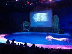 -华夏文旅海洋公园