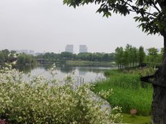-尚贤河湿地