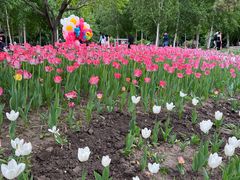 -长春公园(普阳街道)