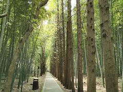-同里国家湿地公园