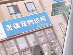 -灵美宠物诊所