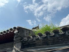 -北平花园·MUA摩造汉堡·北平咖啡(南锣鼓巷胡同店)