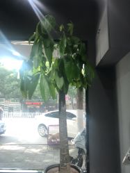 -茶发Salon·烫发染发理发