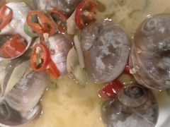 -新龙船黄浦江餐饮游船官方自营店