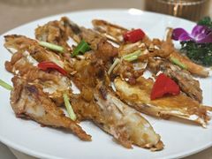 -轩记海鲜餐厅·四十五年老字号·经典粤菜(西区彩虹店)