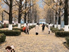 -两江幸福广场