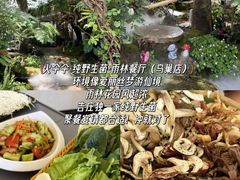 -西双版纳原始森林公园