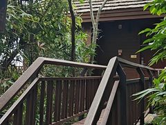 -三亚亚龙湾人间天堂鸟巢度假村