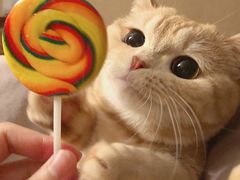 -天源宝石浴宫(和平店)