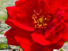 -平安桥天主教堂