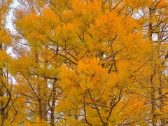 -长春市南湖公园