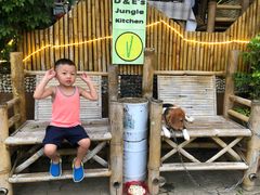 -Jungle Kitchen