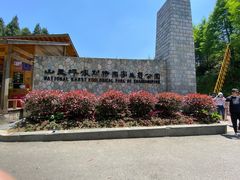 -山王坪喀斯特国家生态公园