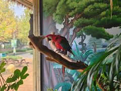 -石家庄市动物园