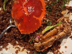 -喜记避风塘炒辣蟹(旗舰店)