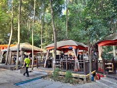 -二荆条·蜀鲜汇城市森林火锅