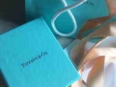 -Tiffany & Co.蒂芙尼
(杭州大厦店)