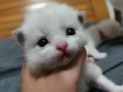 -水乡·印象咖啡馆(周庄店)