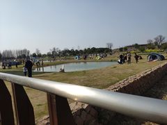 -滆湖低碳生态公园