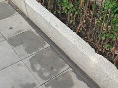 -小铜锣湾海鲜家常菜馆(河西店)