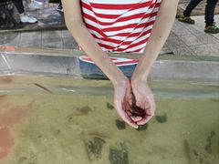 -上海大自然野生昆虫馆(东方明珠·爬宠昆虫探索中心)