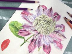 -八哥美术·成人美术画室(总校区)