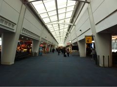 -约翰·菲茨杰拉德·肯尼迪国际机场