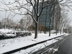 -同济大学(嘉定校区)