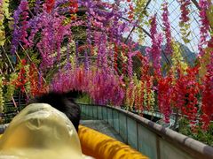 -野三坡刘家河高山漂流