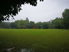 -东湖落雁景区
