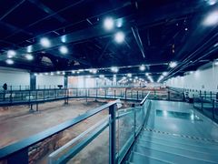 -南越王博物院(王宫展区)